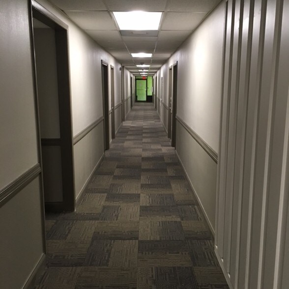 7211 N Dale Mabry, Tampa, FL à louer - Photo du bâtiment - Image 3 de 5