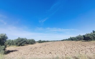 More details for Land for Sale