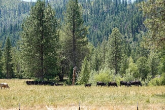 More details for 44510 State 96 Hwy, Seiad Valley, CA - Land for Sale