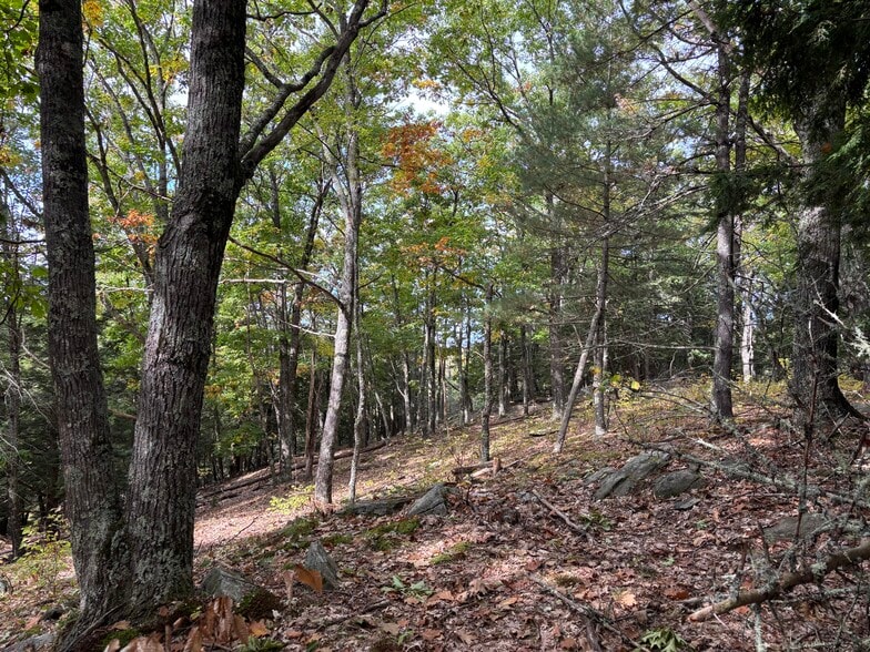 00 Quarry Rd, Chester, VT for sale - Building Photo - Image 3 of 10