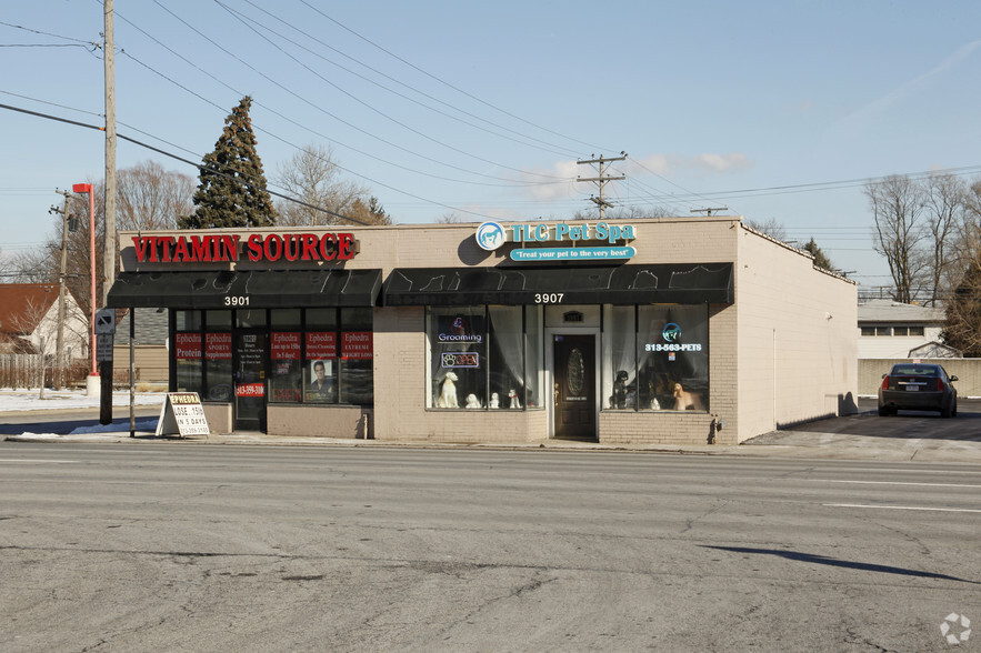 3901 & 3913 S Telegraph Rd Retail Center portfolio of 2 properties for sale on LoopNet.ca - Primary Photo - Image 1 of 2