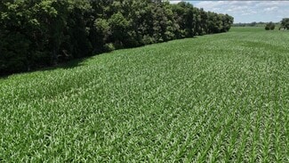 More details for ASHFORD Rd, Mount Vernon, IN - Land for Sale