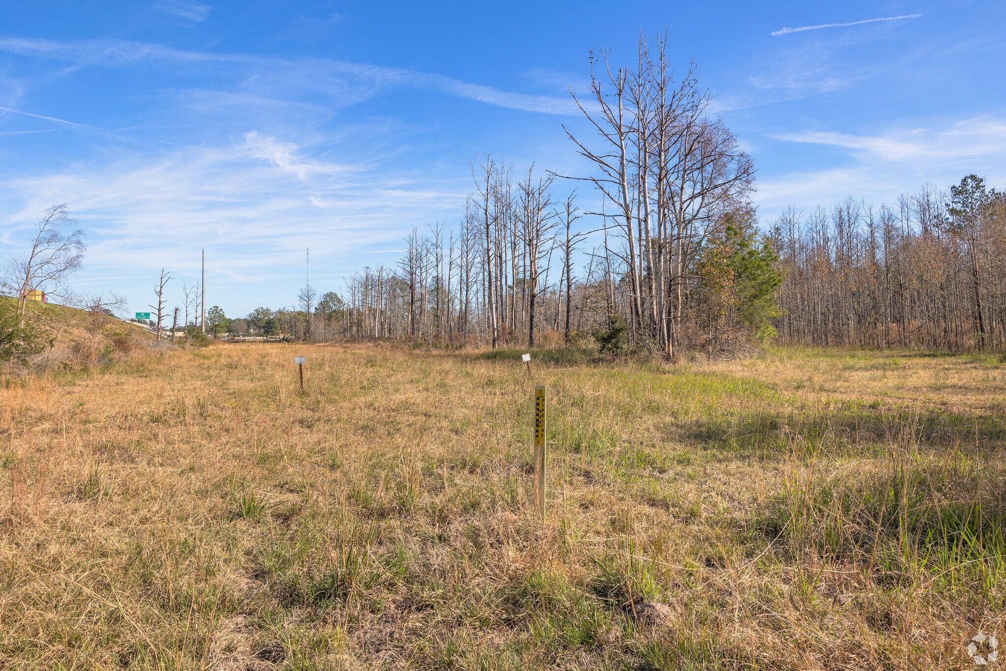 215 Jimmy DeLoach Pky, Savannah, GA à vendre Photo du bâtiment- Image 1 de 12