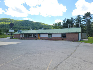 Plus de détails pour 693 Slaty Fork Rd, Slatyfork, WV - Vente au détail à louer