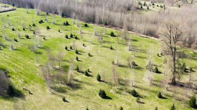 2323 Lindgren Rd, Mount Vernon, WA - Aerial map view - Image1