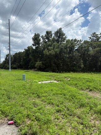More details for 4909 Paul Buchman Hwy, Plant City, FL - Land for Lease