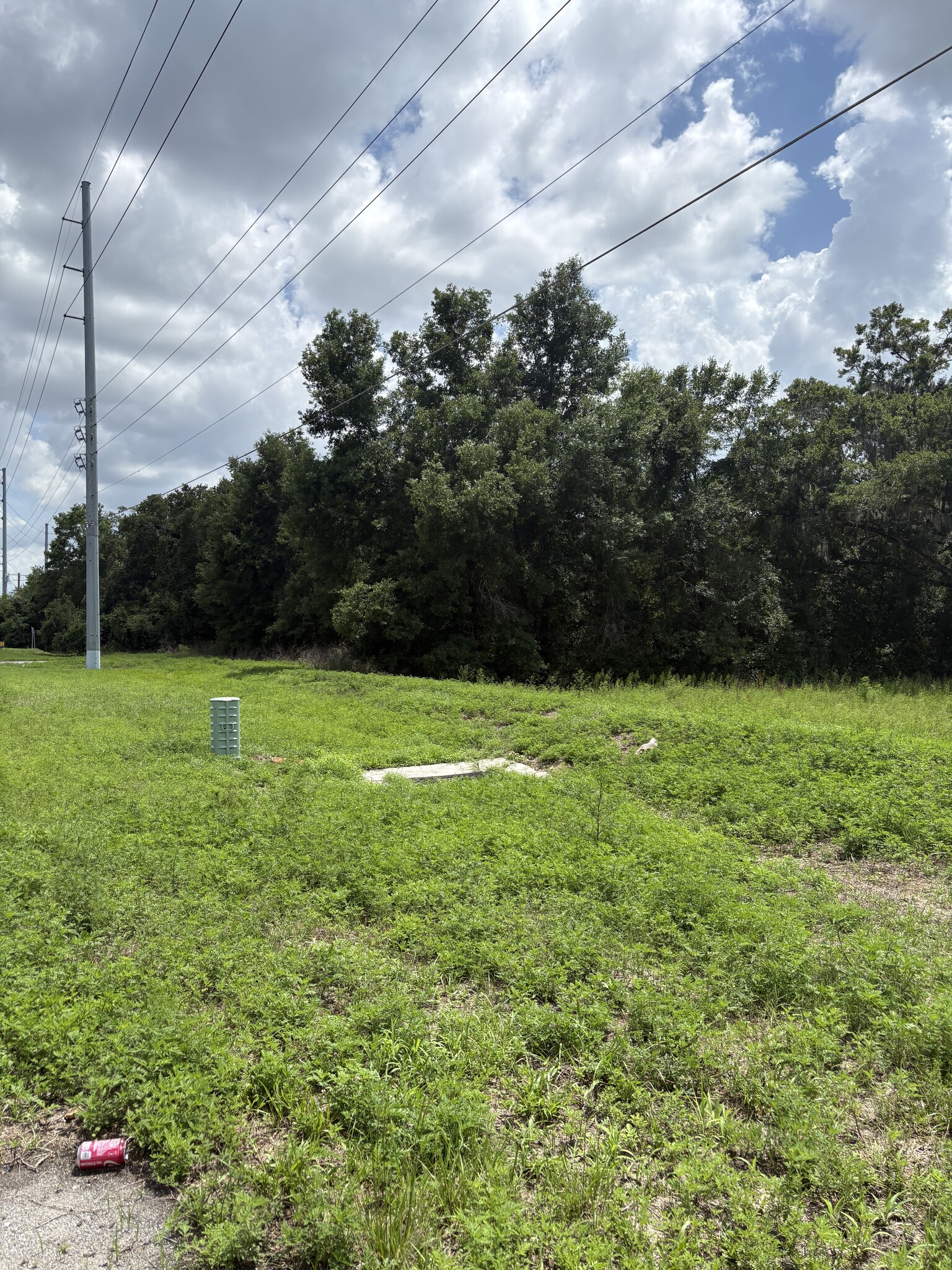 4909 Paul Buchman Hwy, Plant City, FL for lease Primary Photo- Image 1 of 4