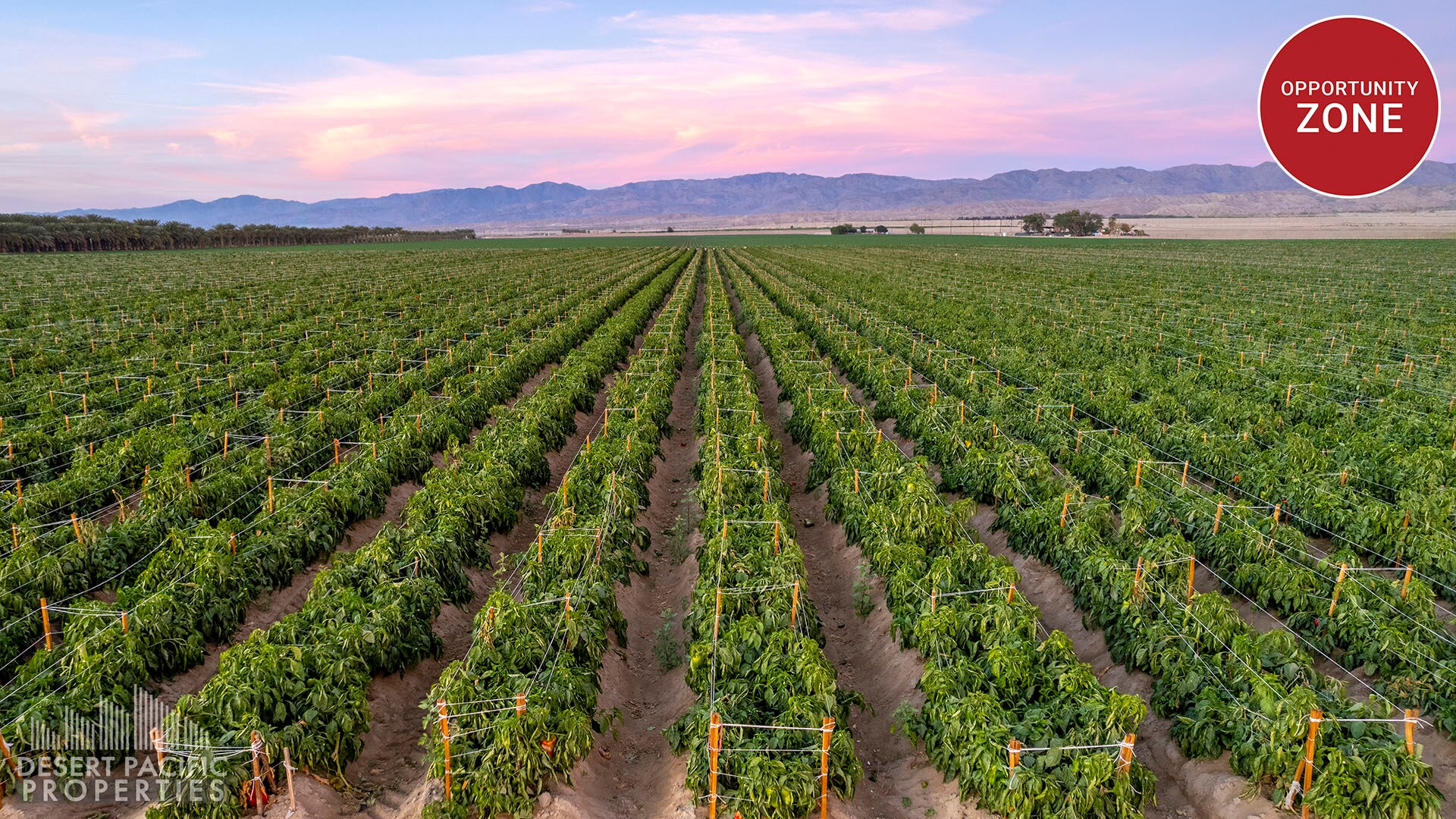 Ave 72 & Hayes st, Mecca, CA à vendre Aérien- Image 1 de 2