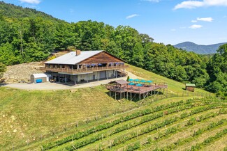 Plus de détails pour 1376 Wyatt Mountain Rd, Dyke, VA - Spécialité à vendre