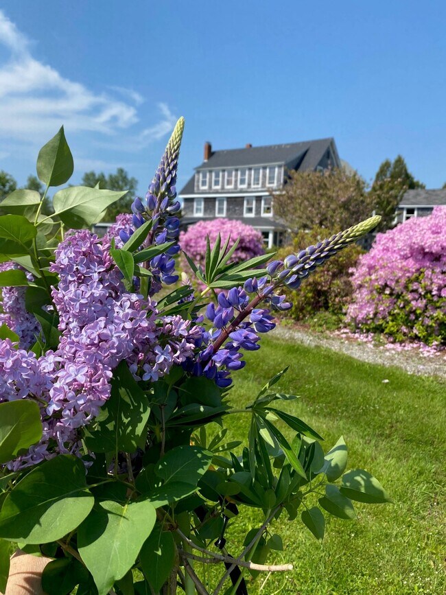 Plus de détails pour 3063 Bristol Rd, New Harbor, ME - Services hôteliers à vendre