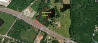 Plus de détails pour 13400 US Highway 280, Salem, AL - Terrain à vendre