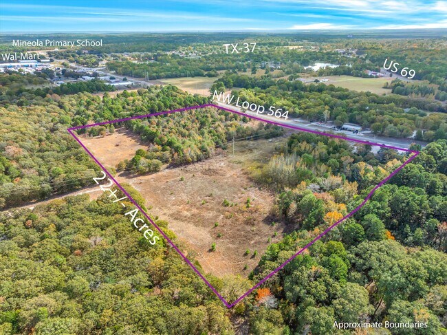 Plus de détails pour 700 NW Loop 564, Mineola, TX - Flex à vendre