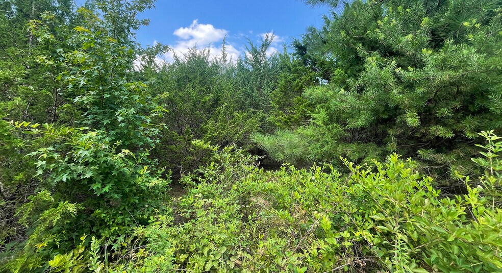 6726 Courthouse Rd, Spotsylvania, VA for sale - Building Photo - Image 2 of 4