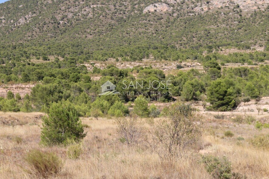 Terrain dans MONÒVER, Alicante à vendre - Photo principale - Image 3 de 17