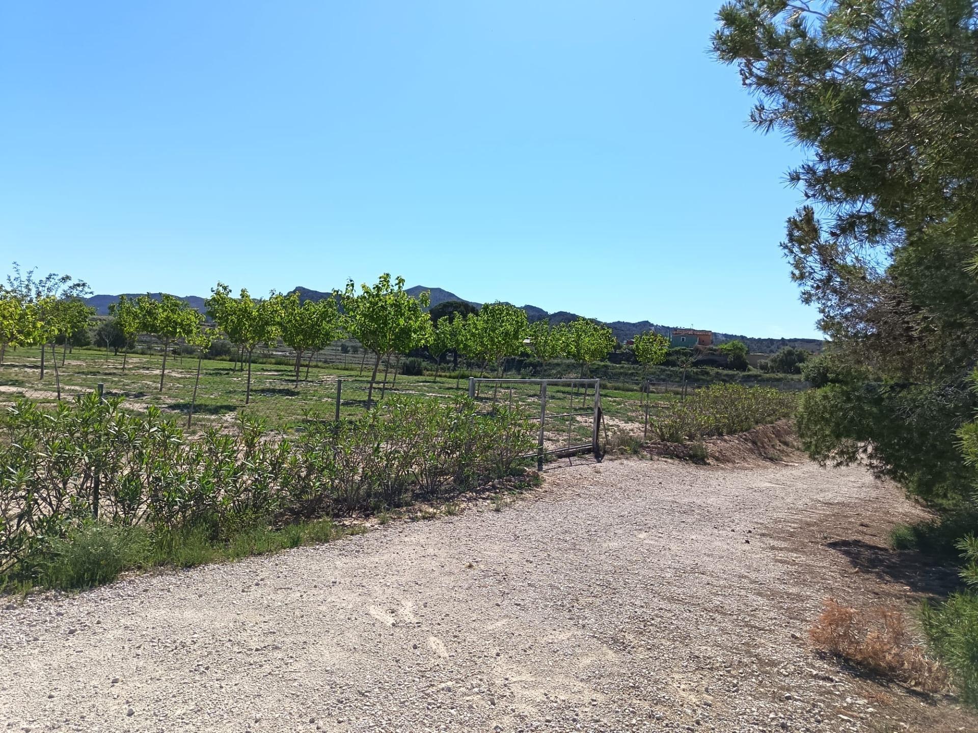 Terrain dans Monforte del Cid, Alicante à vendre Plan de site- Image 1 de 6