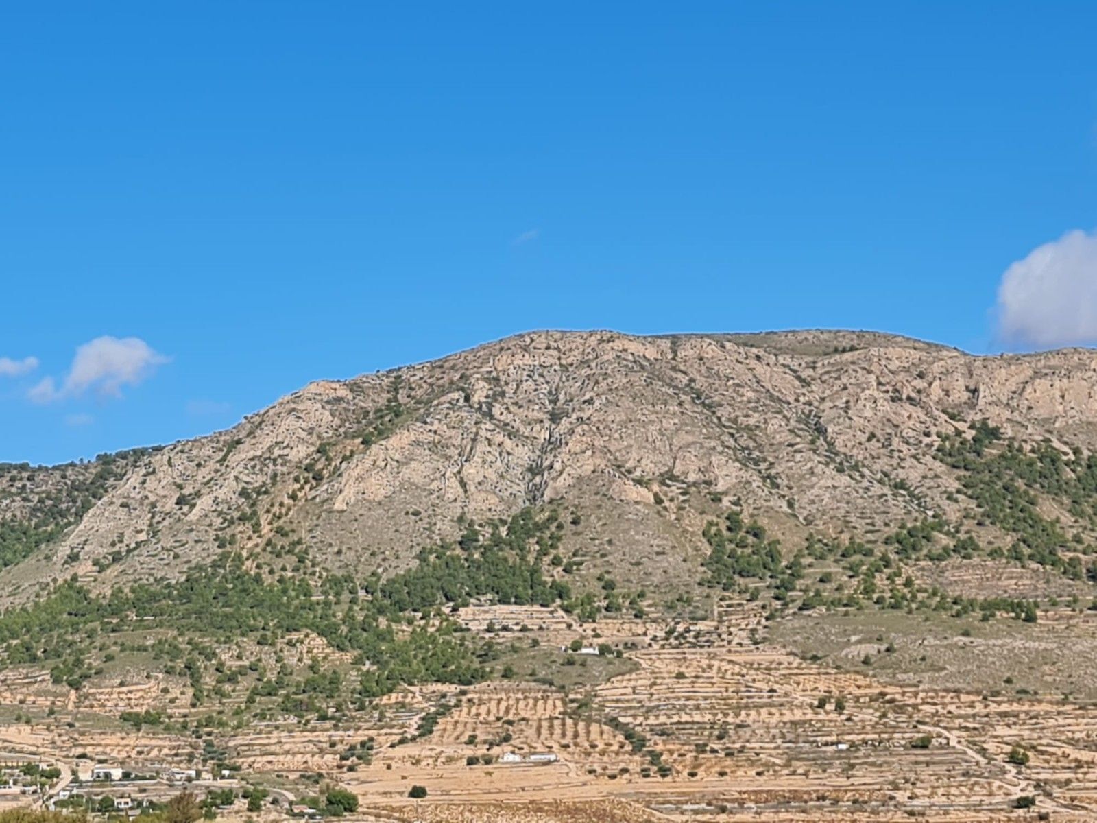 Terrain dans La Romana, Alicante à vendre Aérien- Image 1 de 16