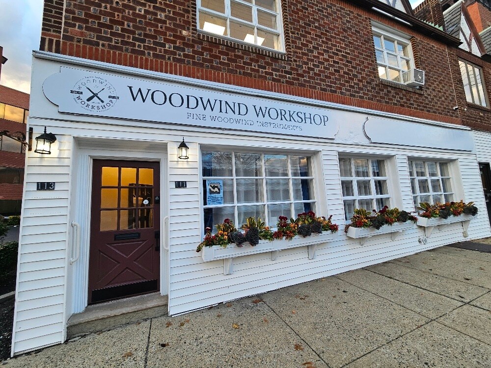 111-113 S Tyson Ave, Floral Park, NY à louer Photo principale- Image 1 de 23