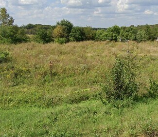 Plus de détails pour 10865 Business 21, Hillsboro, MO - Terrain à vendre