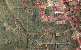 More details for 0000 Paula Rd., Kountze, TX - Land for Sale