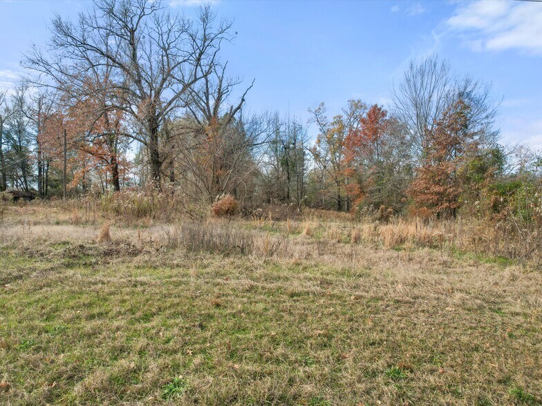 1868 (TBD) US 259 S Hwy, Diana, TX à vendre - Autre - Image 3 de 9