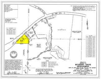 Plus de détails pour Hwy 315 H-4, Fortson, GA - Terrain à vendre