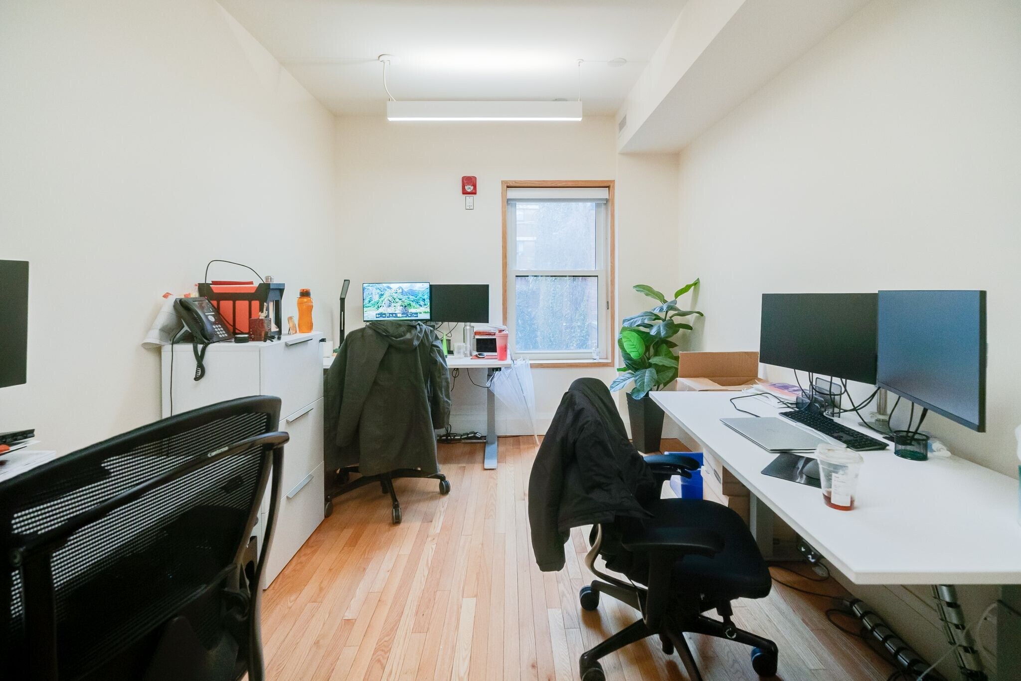 54 1/2 Saint Patrick St, Toronto, ON for lease Interior Photo- Image 1 of 1