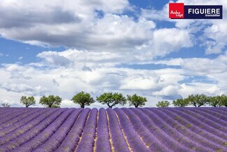 More details for Retail for Lease