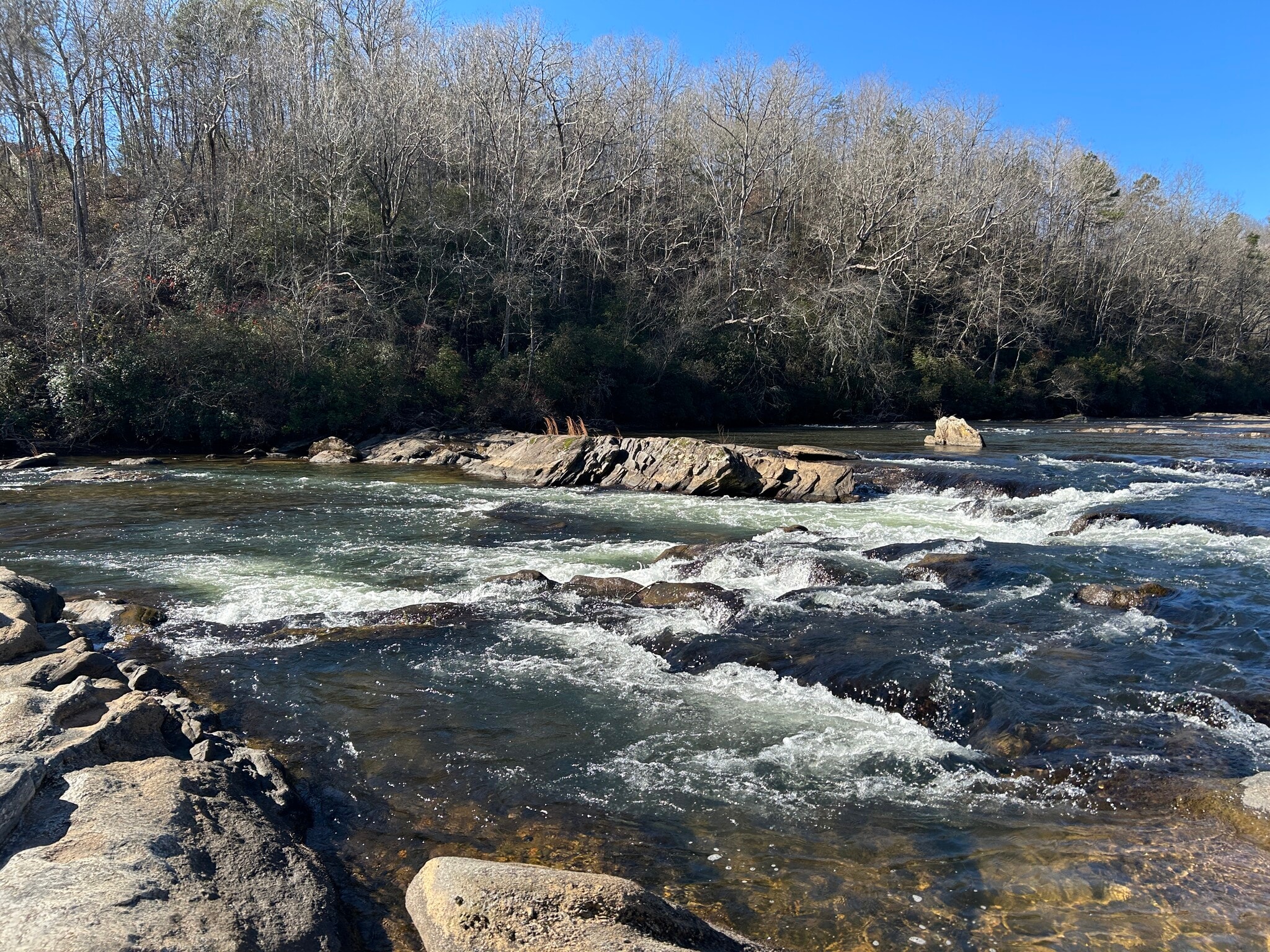 00 Twin River Orchard Rd, Demorest, GA for sale Primary Photo- Image 1 of 7