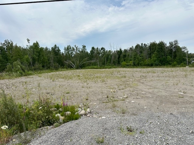 262 Leeds And Grenville 44, Kemptville, ON for sale - Building Photo - Image 3 of 8