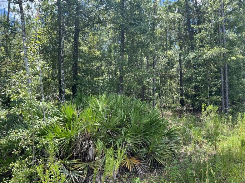 0 103rd, Jacksonville, FL for sale - Building Photo - Image 3 of 9