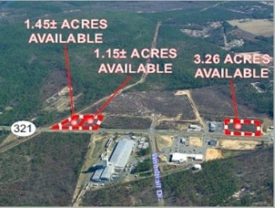 0 Hwy 321, Gaston, SC for sale - Building Photo - Image 1 of 1