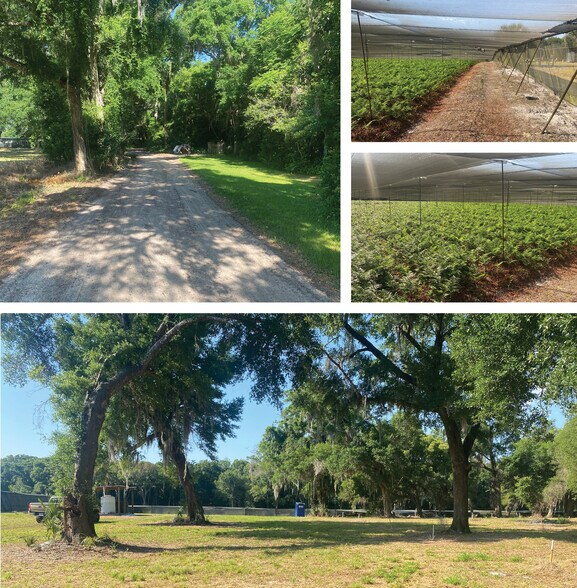 2230 Depot St, Deland, FL à vendre - Photo principale - Image 2 de 5