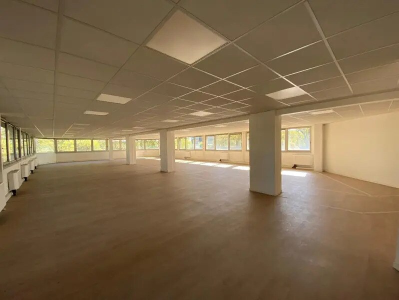 52 Rue Jacques Babinet, Toulouse for lease Interior Photo- Image 1 of 9