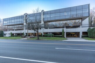 Plus de détails pour 111 E Shore Rd, Manhasset, NY - Bureau à louer