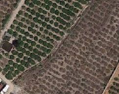 Plus de détails pour Cami Barranc Sinyor, Llauri, Comunidad Valenciana, Sn, València - Terrain à vendre