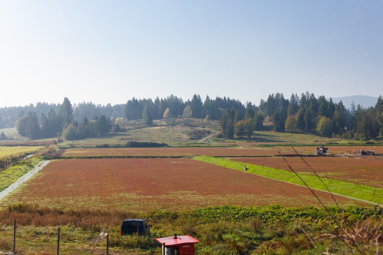 7165 Mays Rd, Duncan, BC for sale Primary Photo- Image 1 of 1