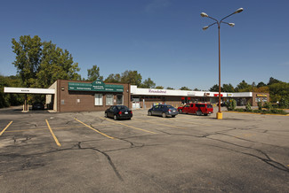 More details for 56270-56330 Grand River Ave, New Hudson, MI - Office, Retail for Lease