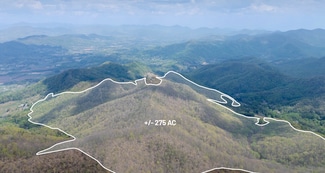 More details for 1299 Tiger Tail ln, Canton, NC - Land for Sale