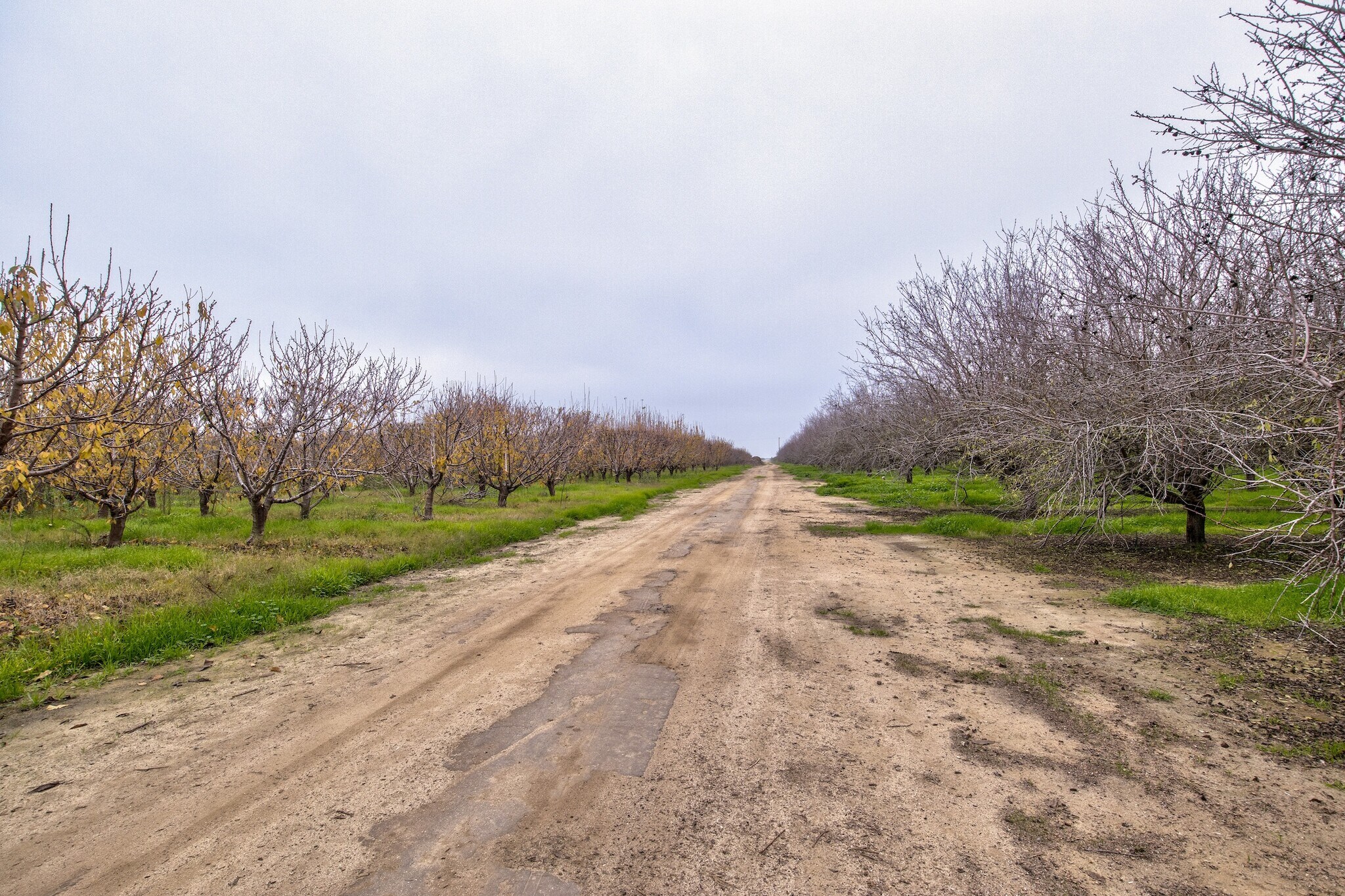 Avenue 48 & Road 168, Earlimart, CA à vendre Photo principale- Image 1 de 23