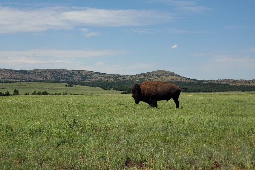 E 980 Road, Arapaho, OK for sale - Primary Photo - Image 1 of 1