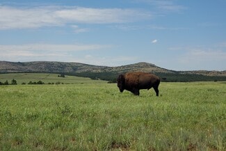 Plus de détails pour E 980 Road, Arapaho, OK - Terrain à vendre