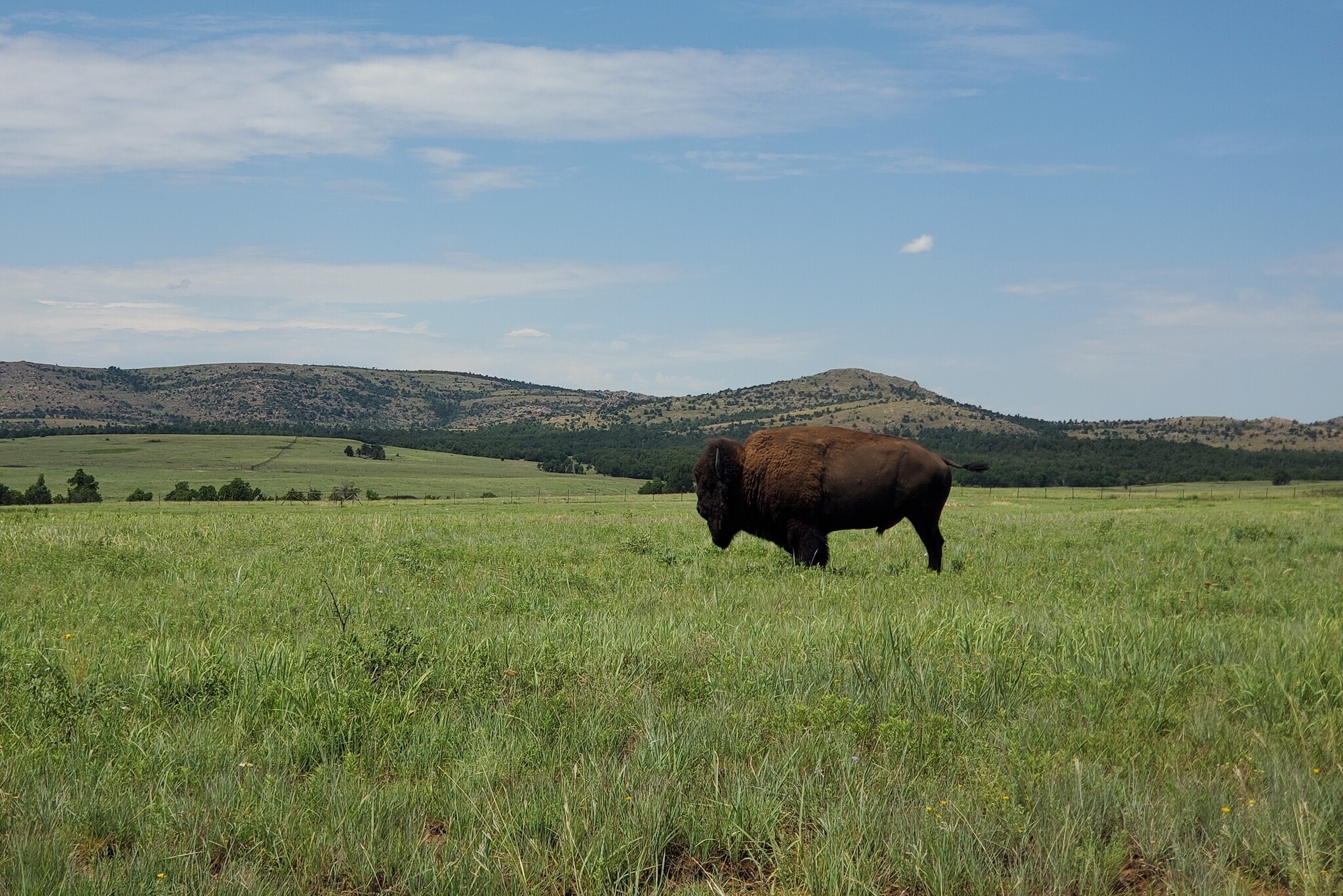 E 980 Road, Arapaho, OK for sale Primary Photo- Image 1 of 2