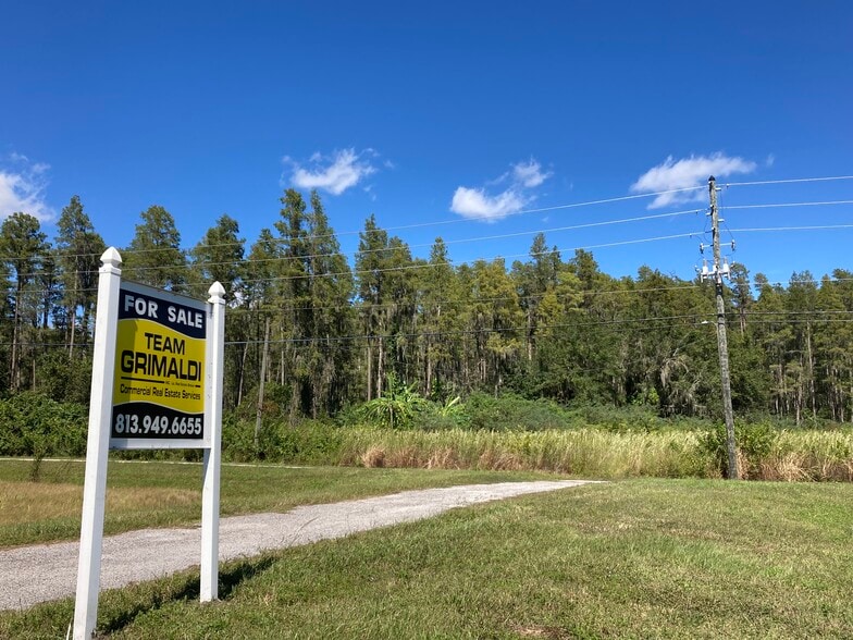 20233 State Road 54, Lutz, FL for sale - Building Photo - Image 2 of 6