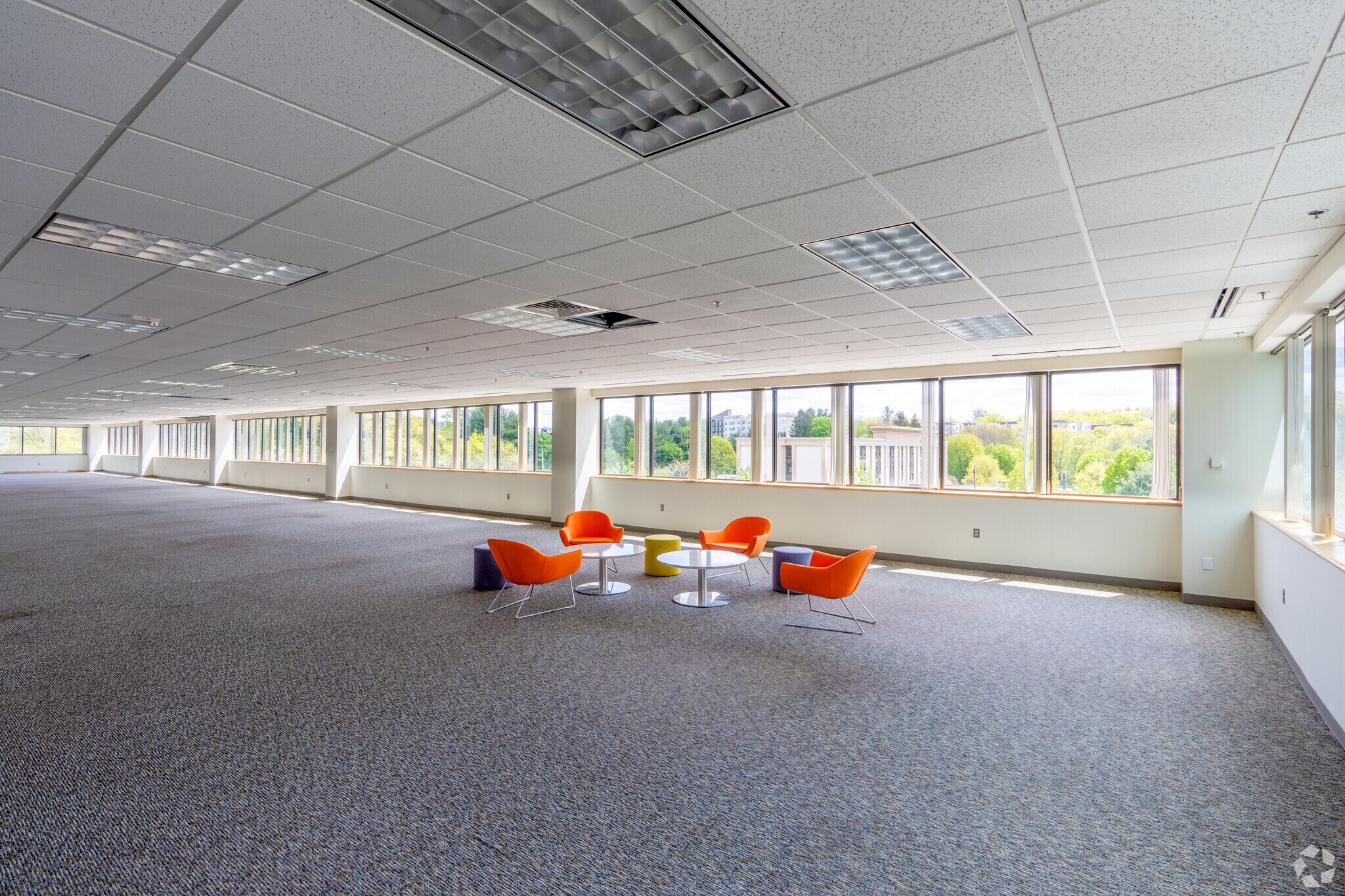 293 Boston Post Rd W, Marlborough, MA for lease Interior Photo- Image 1 of 3