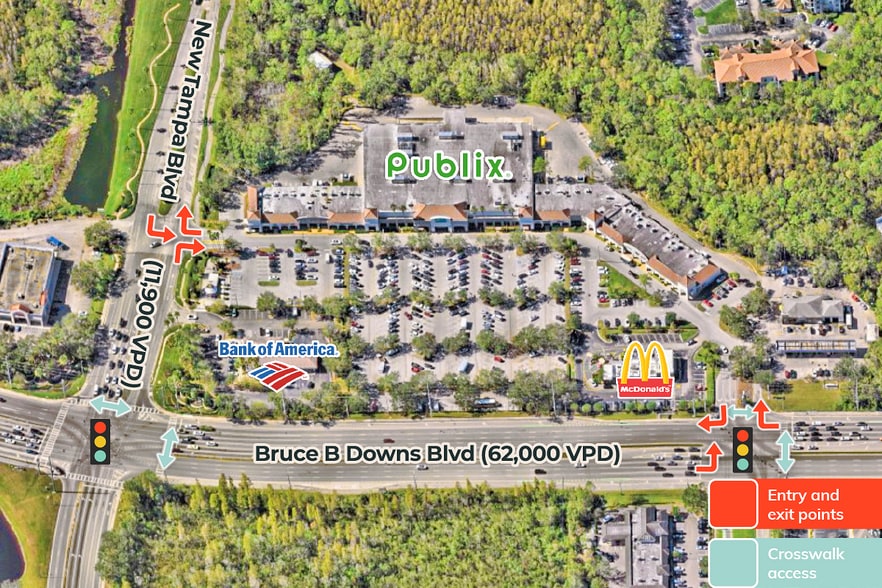 19002-19010 Bruce B Downs Blvd, Tampa, FL for lease - Aerial - Image 3 of 7