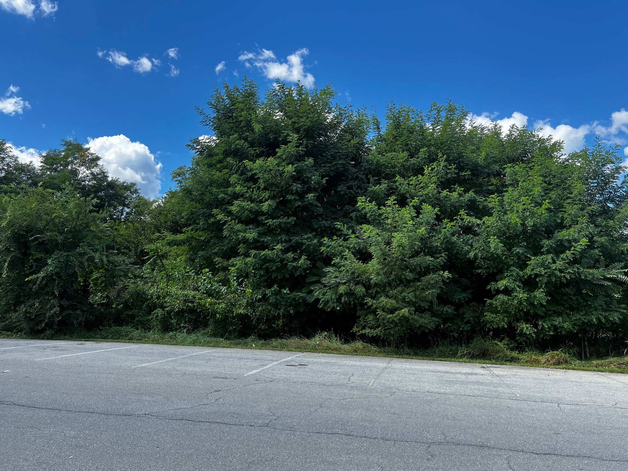 0 McMillan Ct, Martinsburg, WV for sale Primary Photo- Image 1 of 11