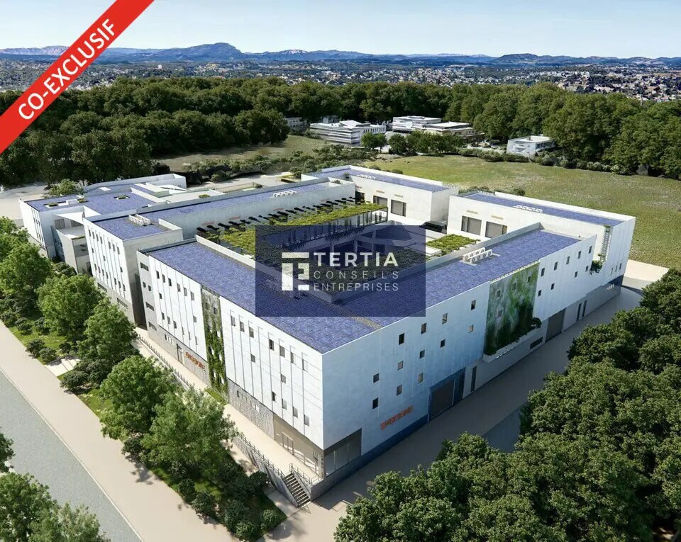 Flex in Montpellier for lease Building Photo- Image 1 of 6