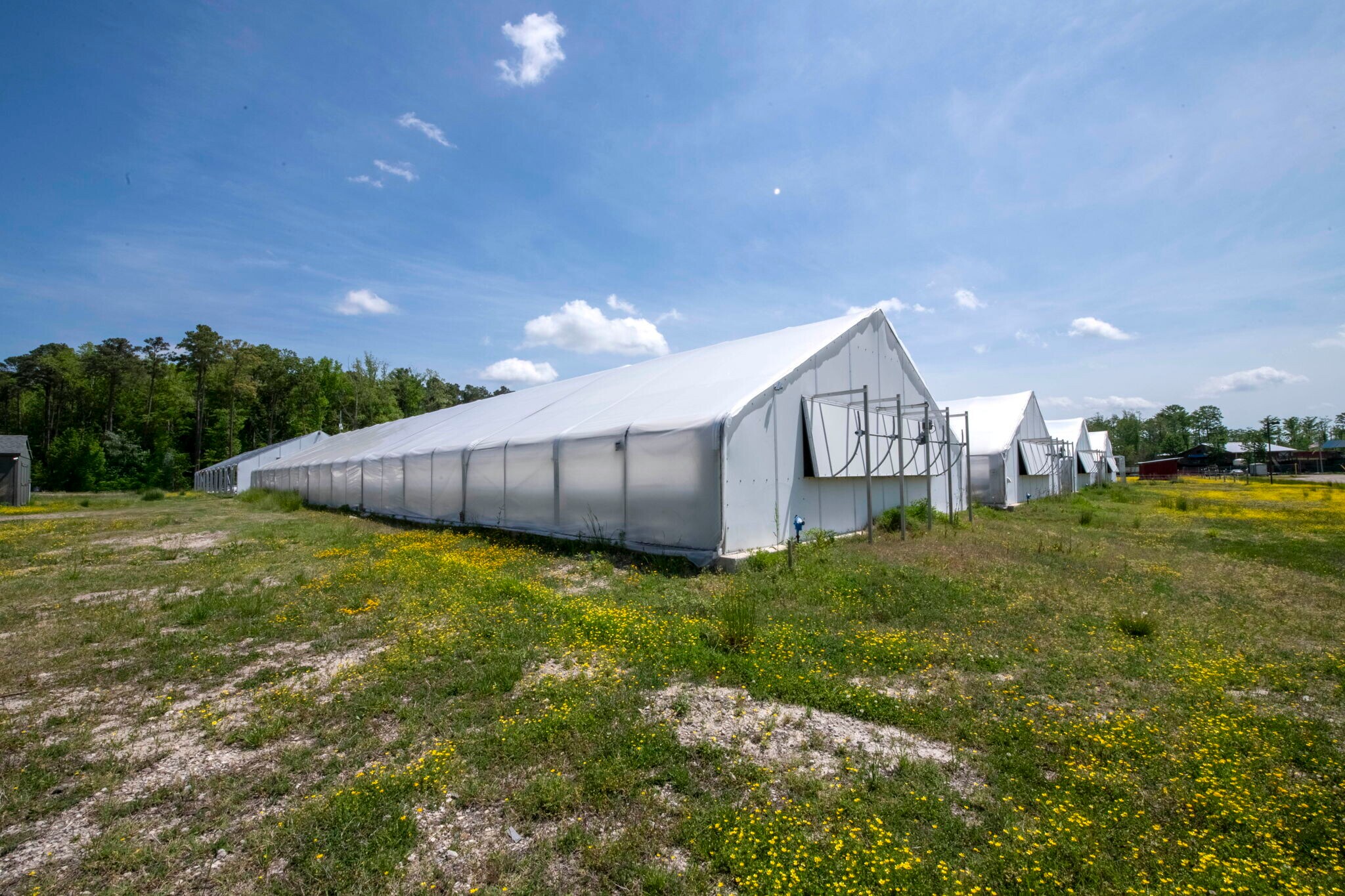 3740 Bridlepath Ln, Virginia Beach, VA à louer Photo principale- Image 1 de 15