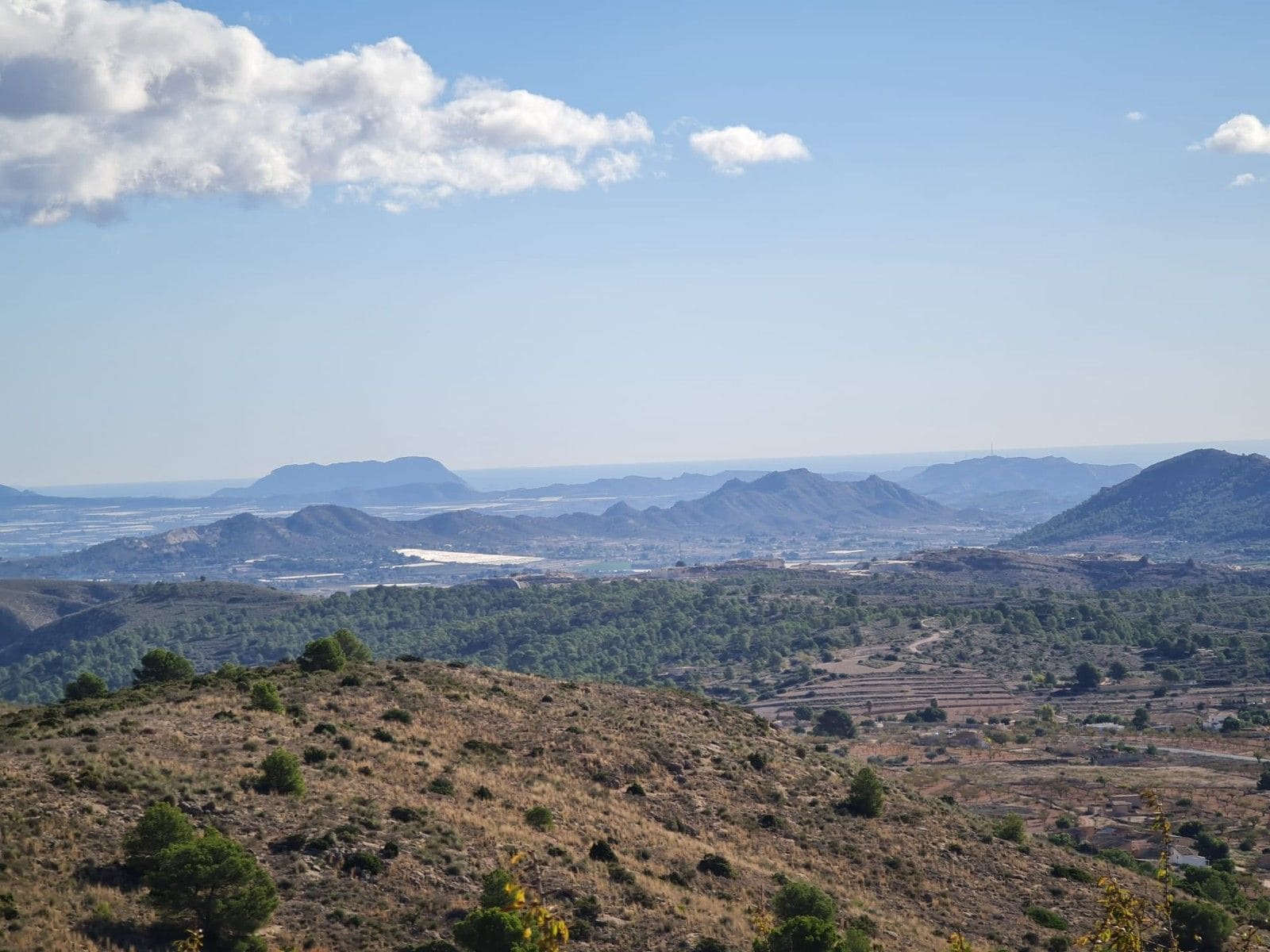 Terrain dans La Romana, Alicante à vendre Aérien- Image 1 de 13