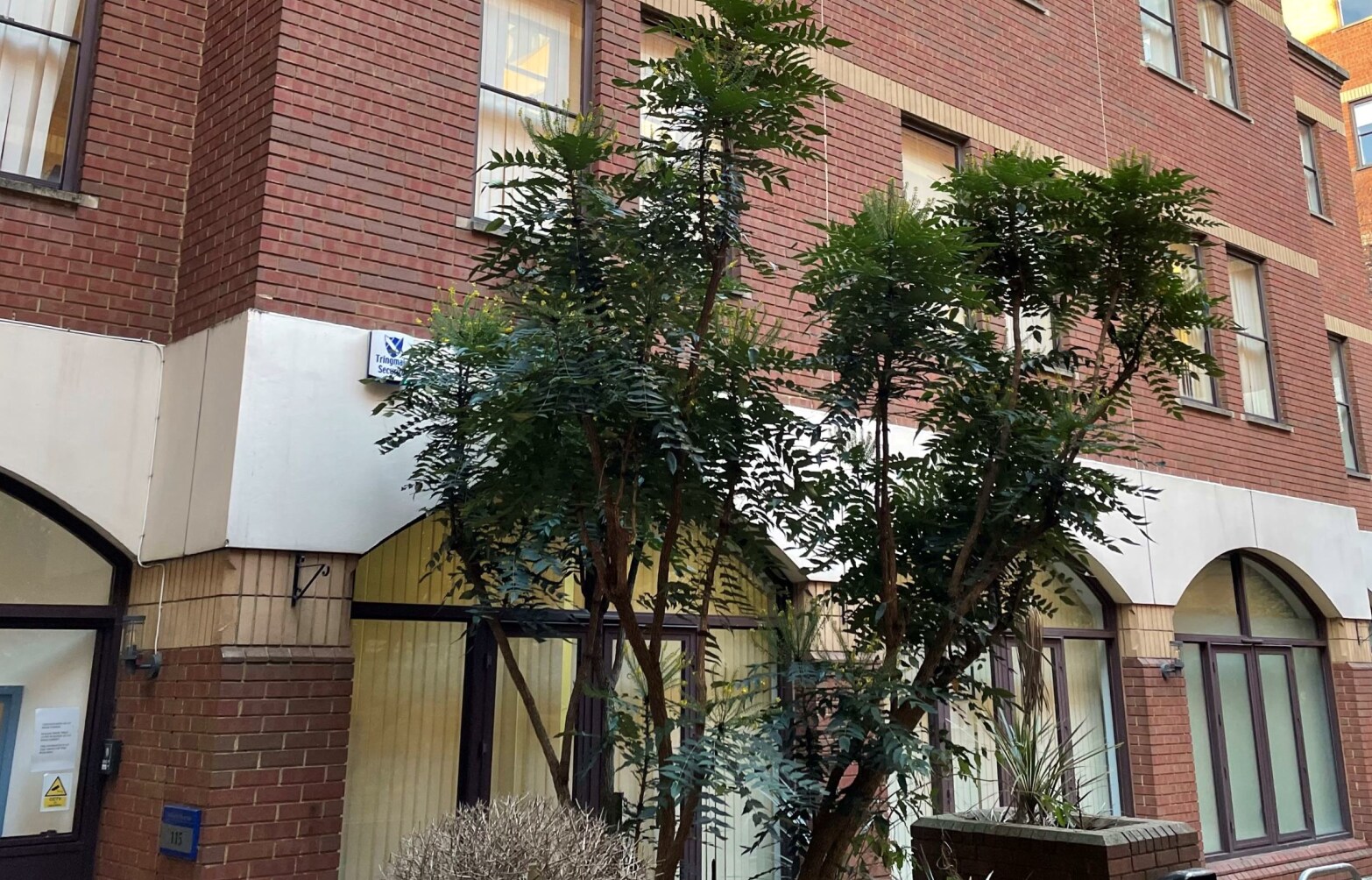 115 High St, Croydon à louer Photo principale- Image 1 de 10